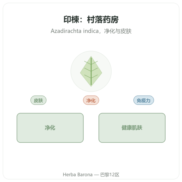 印楝(Neem)– Ayur-vana – 60 粒胶囊 产品展示 Paris Herba Barona