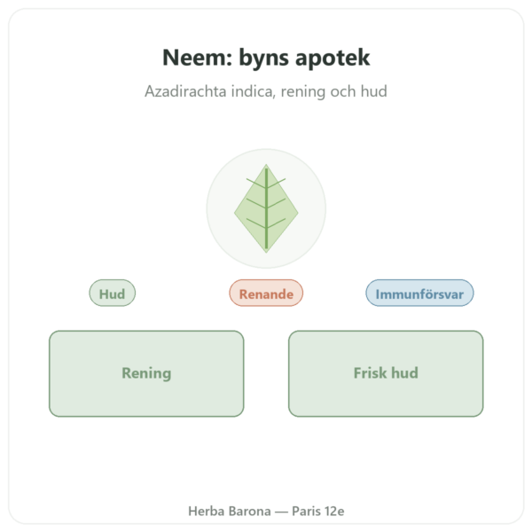 Neem – Ayur-vana – 60 kapslar presentation Paris Herba Barona