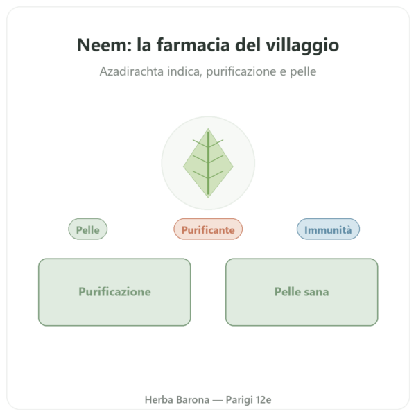 Neem – Ayur-vana – 60 capsule presentazione Paris Herba Barona
