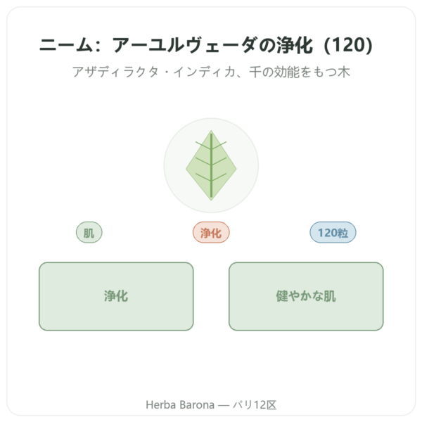 ニーム – Ayur-vana – 120カプセル presentation Paris Herba Barona