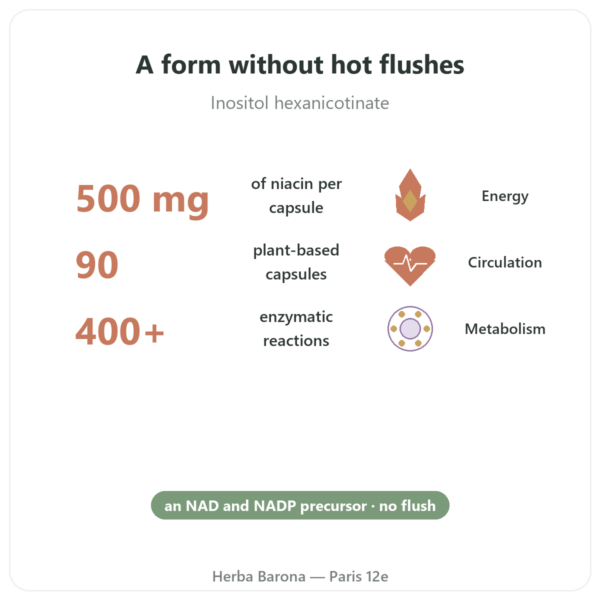 Niacin B3 Flush-Free - Now Foods - 90 Capsules benefits and key facts Paris Herba Barona