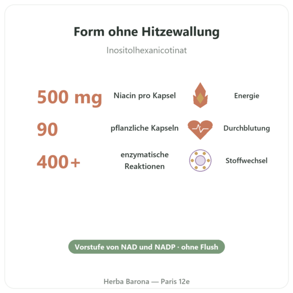 Niacin B3 Flush Free – ohne Hautrötung – 90 pflanzliche Kapseln – Now Foods Vorteile und Fakten Paris Herba Barona
