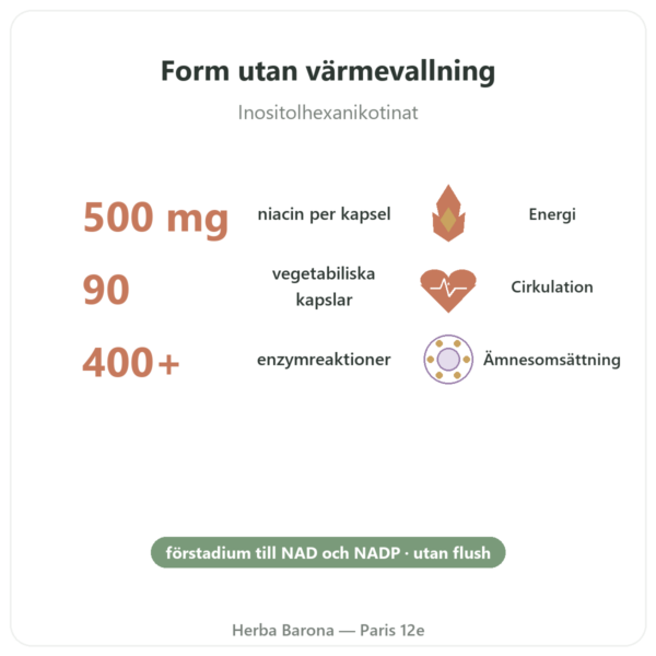 Niacin B3 Flush Free – utan rodnad – 90 veg. kapslar Now Foods fördelar och nyckelfakta Paris Herba Barona