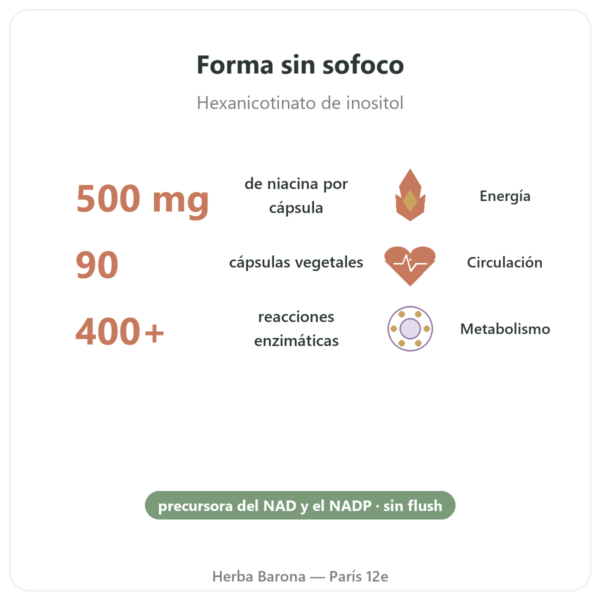 Niacina B3 Flush Free – Sin Rubor – 90 Cápsulas Vegetales – Now Foods beneficios y datos clave Paris Herba Barona
