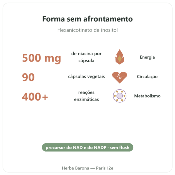 Niacina B3 Flush Free (sem rubor) – 90 cápsulas veg. – Now Foods benefícios e dados principais Paris Herba Barona
