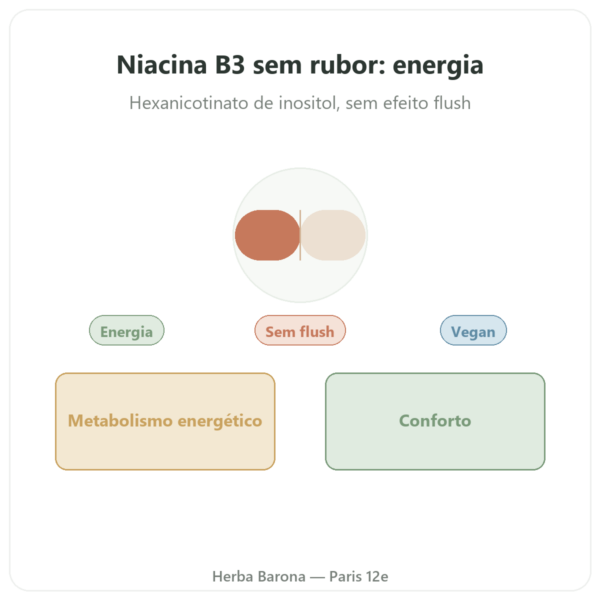Niacina B3 Flush Free (sem rubor) – 90 cápsulas veg. – Now Foods apresentação Paris Herba Barona