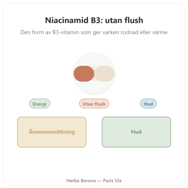 Niacinamid B3 – 100 kapslar Now Foods presentation Paris Herba Barona