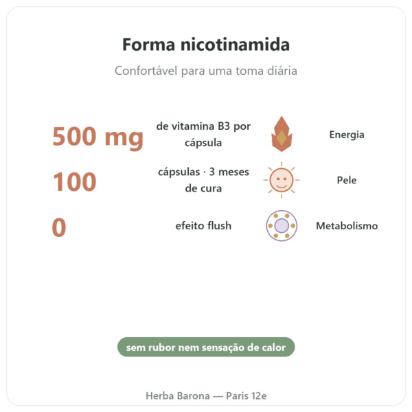 Niacinamida B3 – 100 Cápsulas – Now Foods benefícios e dados principais Paris Herba Barona