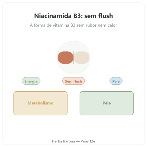 Niacinamida B3 – 100 Cápsulas – Now Foods apresentação Paris Herba Barona
