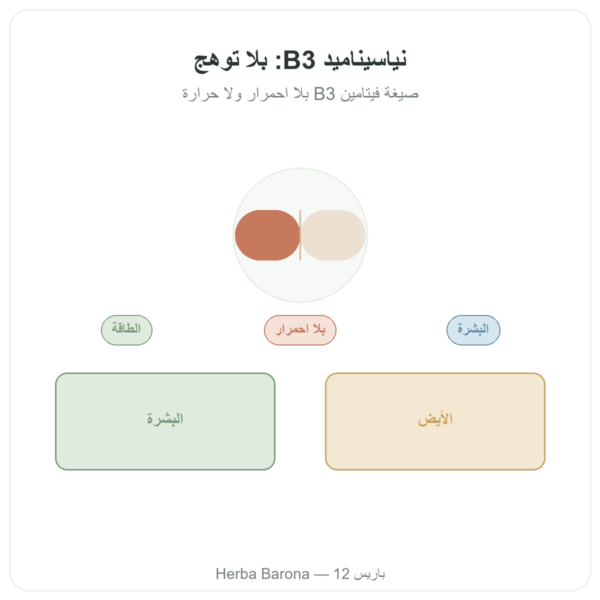 نياسيناميد B3 – 100 كبسولة – Now Foods عرض المنتج Paris Herba Barona