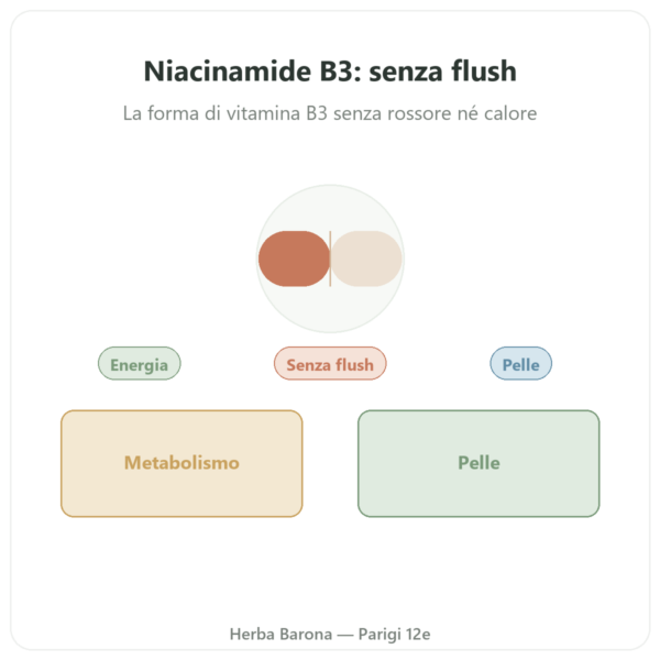 Niacinamide B3 – 100 Capsule Now Foods presentazione Paris Herba Barona