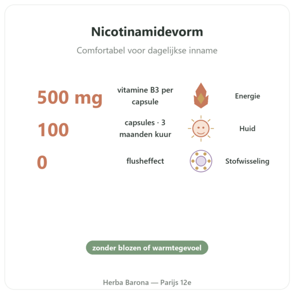 Niacinamide B3 – 100 capsules – Now Foods voordelen en kerngegevens Paris Herba Barona