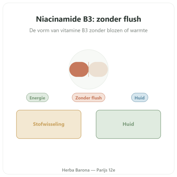 Niacinamide B3 – 100 capsules – Now Foods presentatie Paris Herba Barona