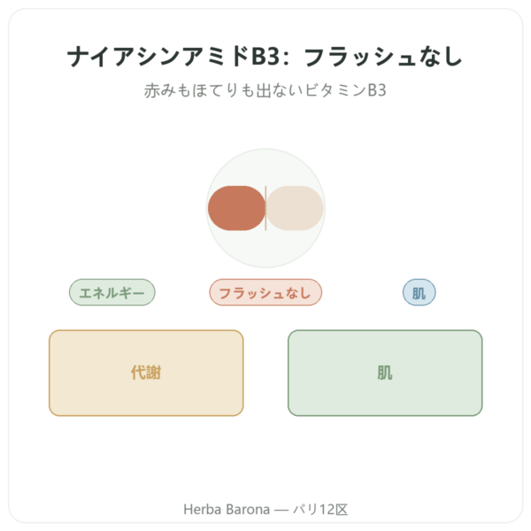 ナイアシンアミド B3 – 100 Caps. Now Foods presentation Paris Herba Barona