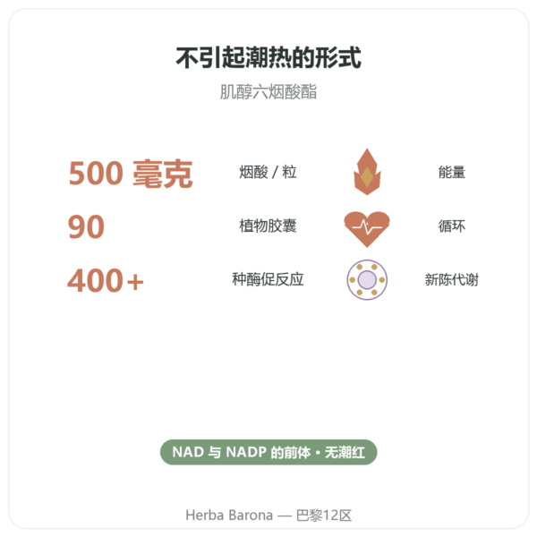 烟酸 B3 Flush Free – 无潮红 – 90 粒植物胶囊 Now Foods 功效与数据 Paris Herba Barona
