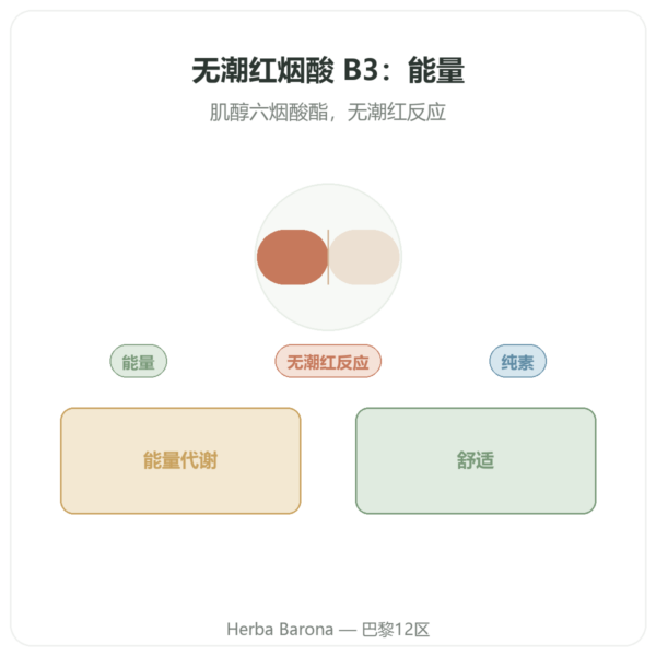 烟酸 B3 Flush Free – 无潮红 – 90 粒植物胶囊 Now Foods 产品展示 Paris Herba Barona