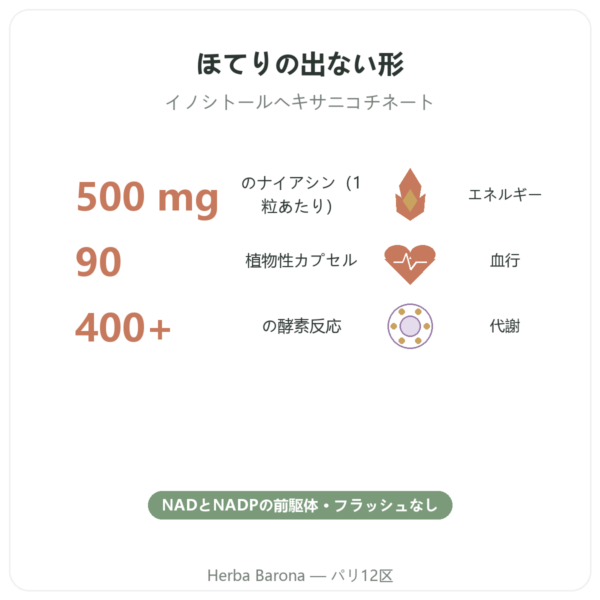 ナイアシン B3 フラッシュフリー – 赤みの出にくいタイプ – 90 veg Caps. Now Foods benefits and key facts Paris Herba Barona