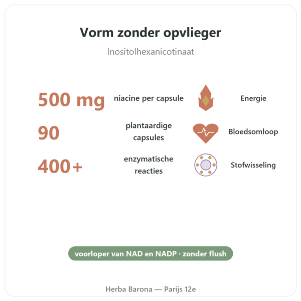 Niacine B3 Flush Free – zonder blozen – 90 plantaardige capsules – Now Foods voordelen en kerngegevens Paris Herba Barona