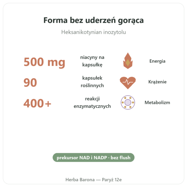Niacyna B3 Flush Free – bez zaczerwienień – 90 kaps. korzyści i najważniejsze fakty Paris Herba Barona