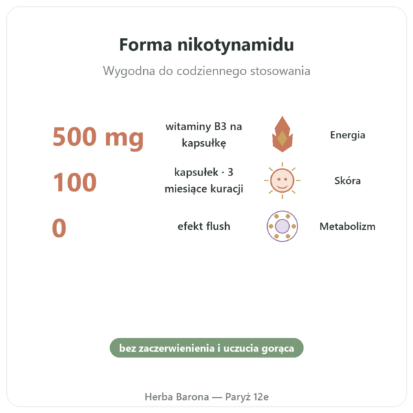 Niacynamid B3 – 100 kaps. Now Foods korzyści i najważniejsze fakty Paris Herba Barona