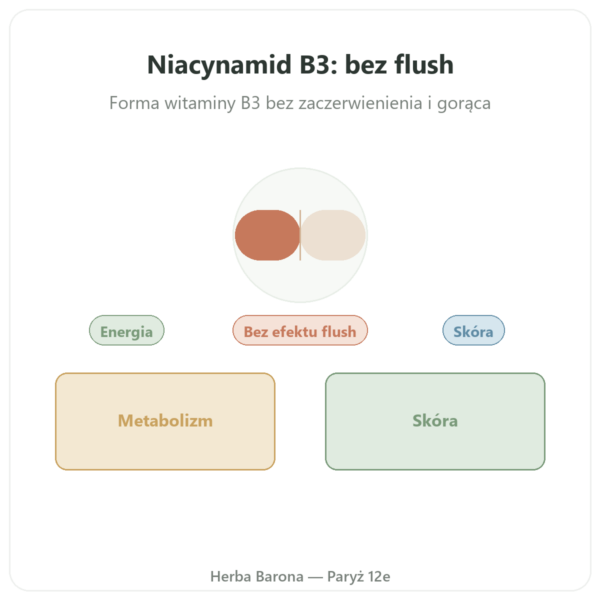 Niacynamid B3 – 100 kaps. Now Foods prezentacja Paris Herba Barona