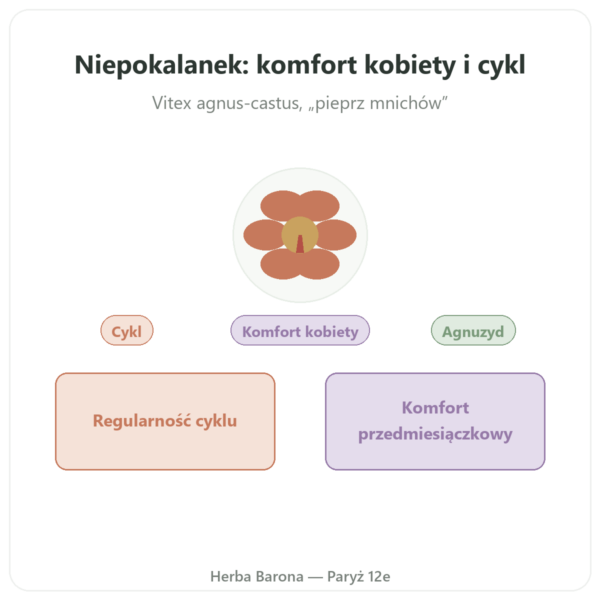 Niepokalanek Ekstrakt 250 mg – 0,6% Agnuside – 60 kaps. prezentacja Paris Herba Barona