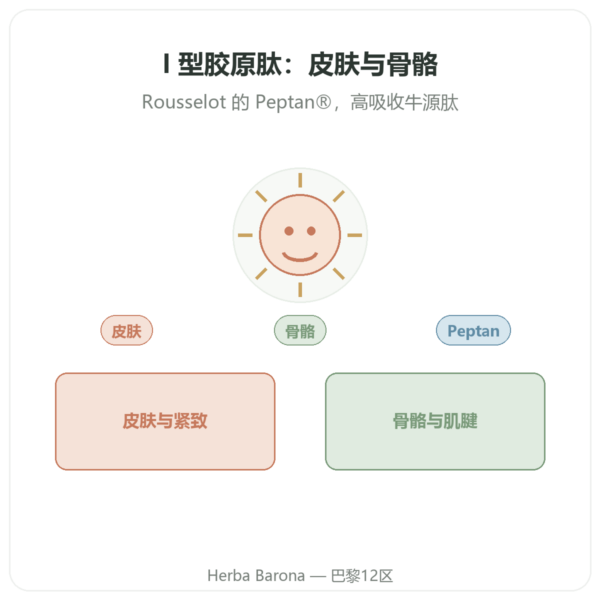牛胶原蛋白肽 I 型 500g – Nutrimuscle 产品展示 Paris Herba Barona