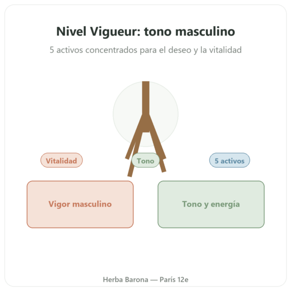 Nivel Vigueur – 40 Cápsulas – Api-nature presentación Paris Herba Barona