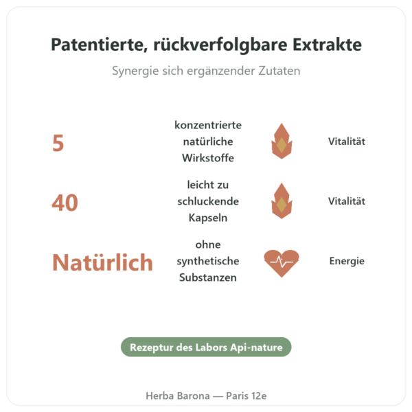 Nivel Vigueur – 40 Kapseln – Api-nature Vorteile und Fakten Paris Herba Barona
