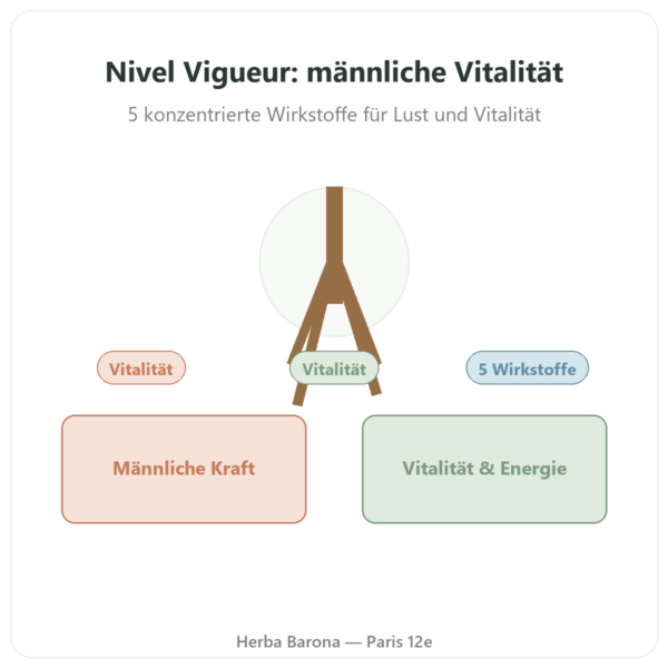 Nivel Vigueur – 40 Kapseln – Api-nature Vorstellung Paris Herba Barona