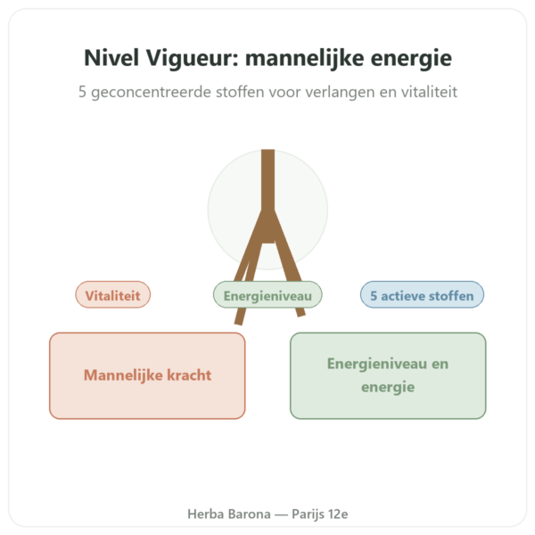 Nivel Vigueur – 40 capsules – Api-nature presentatie Paris Herba Barona