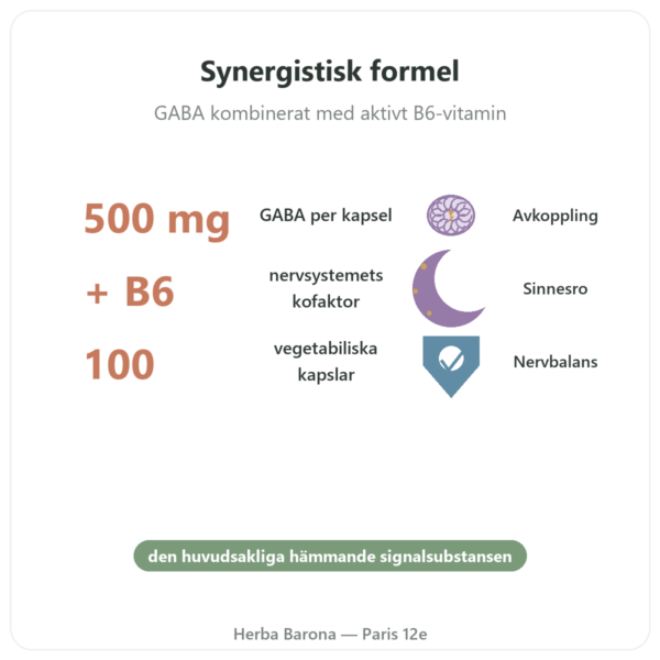 NOW Foods GABA 500 mg + Vitamin B-6 – 100 vegetabiliska kapslar fördelar och nyckelfakta Paris Herba Barona