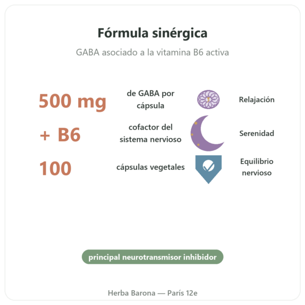 NOW Foods GABA 500 mg + Vitamina B-6 – 100 Cápsulas Vegetales beneficios y datos clave Paris Herba Barona