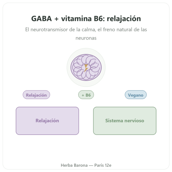 NOW Foods GABA 500 mg + Vitamina B-6 – 100 Cápsulas Vegetales presentación Paris Herba Barona