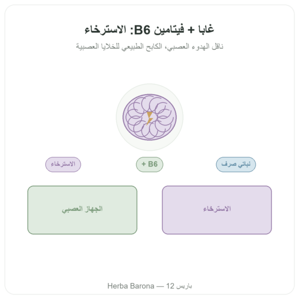 NOW Foods غابا GABA 500 ملغ + فيتامين B-6 – 100 كبسولة نباتية عرض المنتج Paris Herba Barona