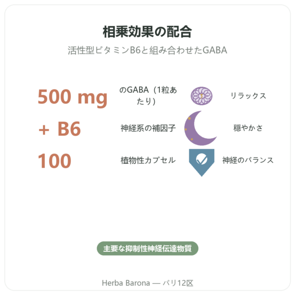 NOW Foods GABA 500mg + ビタミンB-6 – 植物性カプセル 100粒 benefits and key facts Paris Herba Barona