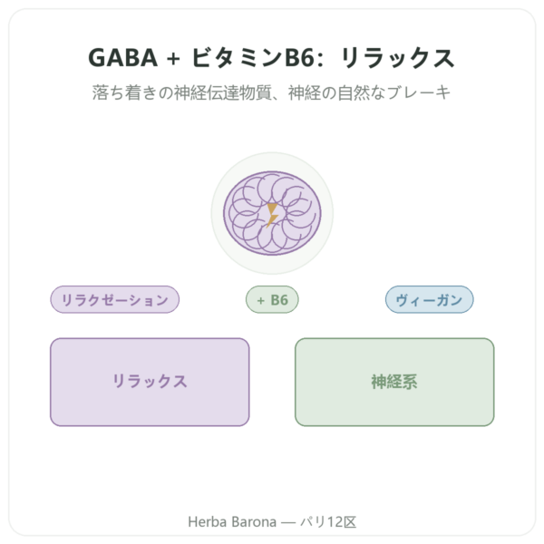 NOW Foods GABA 500mg + ビタミンB-6 – 植物性カプセル 100粒 presentation Paris Herba Barona