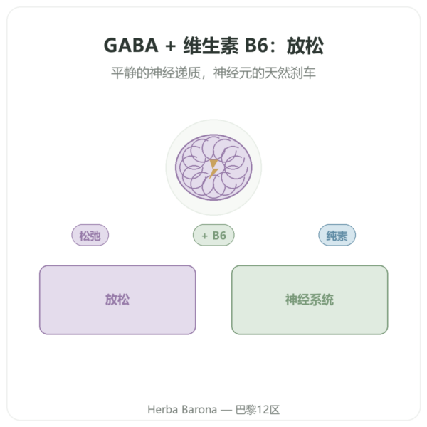 NOW Foods GABA 500毫克 + 维生素B-6 – 100粒植物胶囊 产品展示 Paris Herba Barona