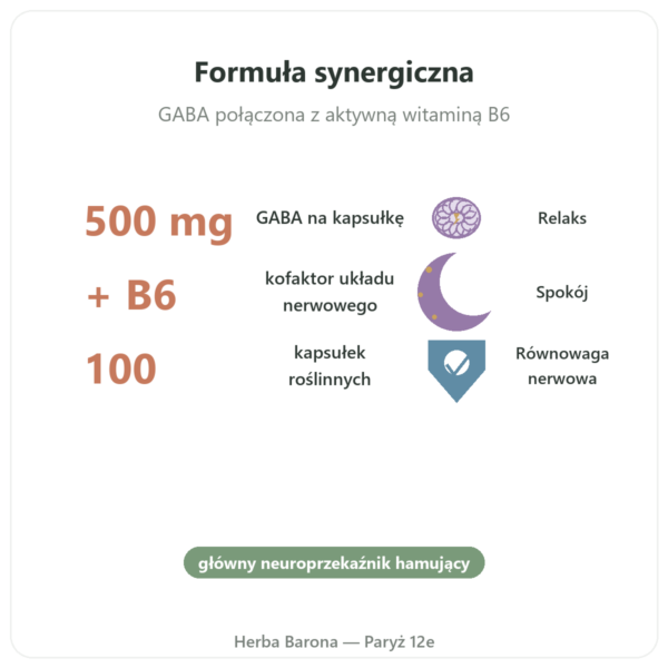 NOW Foods GABA 500mg + Witamina B-6 – 100 kapsułek korzyści i najważniejsze fakty Paris Herba Barona