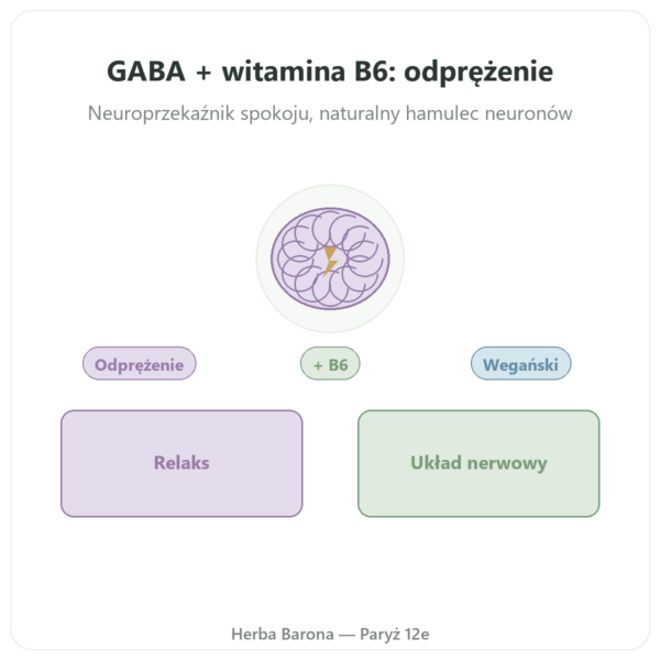 NOW Foods GABA 500mg + Witamina B-6 – 100 kapsułek prezentacja Paris Herba Barona