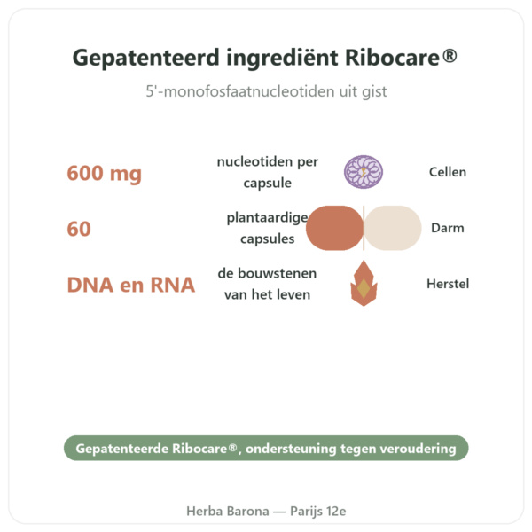 Nucleotiden Ribocare® 600 mg – Dynveo – 60 capsules voordelen en kerngegevens Paris Herba Barona