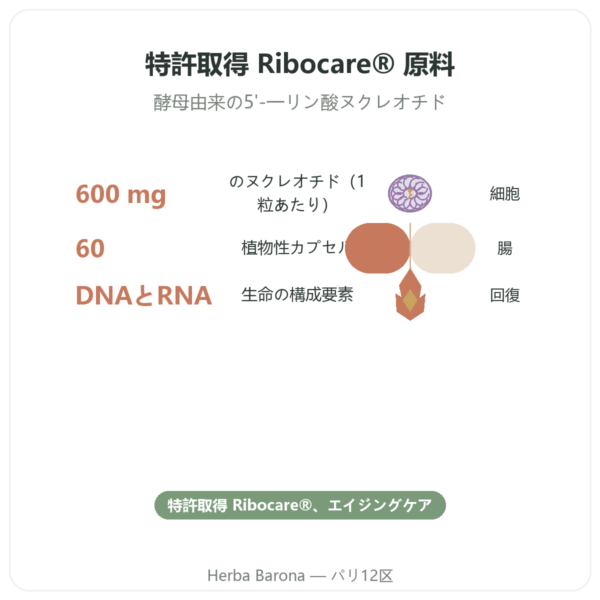 ヌクレオチド Ribocare® 600 mg – Dynveo – 60カプセル benefits and key facts Paris Herba Barona