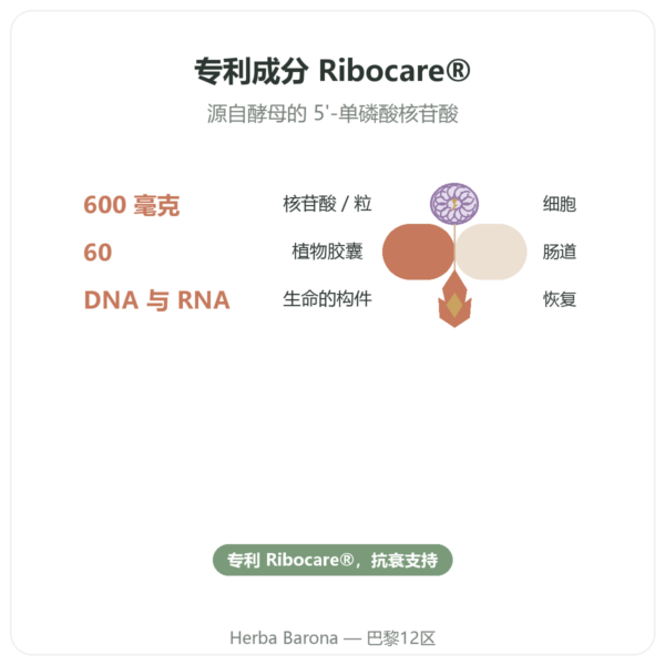 Dynveo Ribocare® 核苷酸 600毫克 – 60粒 功效与数据 Paris Herba Barona