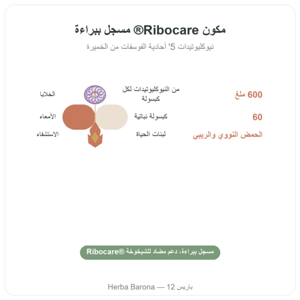 نيوكليوتيدات Ribocare® 600 ملغ – Dynveo – 60 كبسولة الفوائد والمعطيات الرئيسية Paris Herba Barona