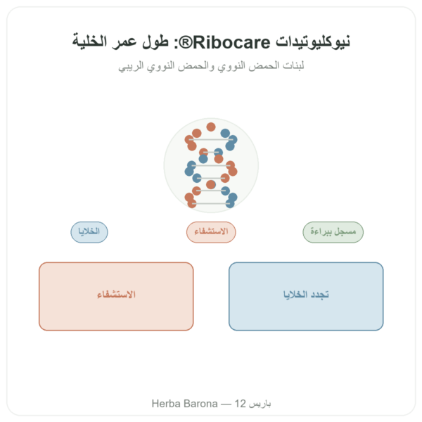 نيوكليوتيدات Ribocare® 600 ملغ – Dynveo – 60 كبسولة عرض المنتج Paris Herba Barona