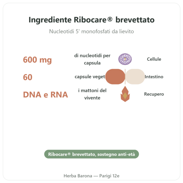 Nucleotidi Ribocare® 600 mg – Dynveo – 60 capsule benefici e dati chiave Paris Herba Barona