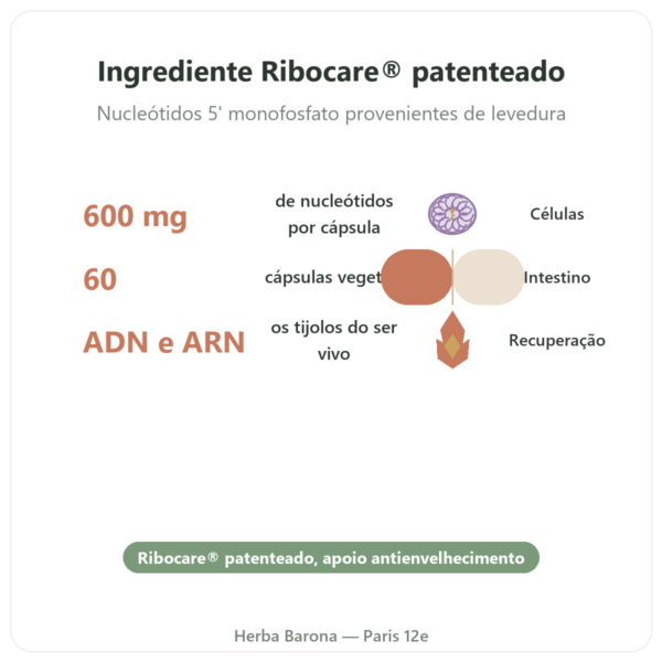 Nucleótidos Ribocare® 600 mg – Dynveo – 60 cápsulas benefícios e dados principais Paris Herba Barona