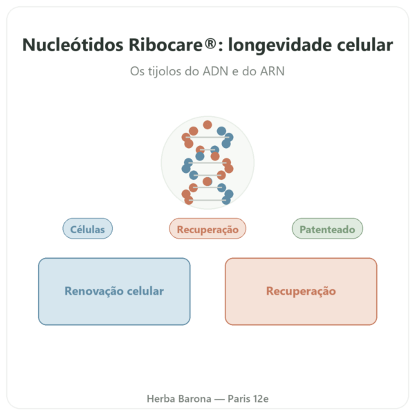 Nucleótidos Ribocare® 600 mg – Dynveo – 60 cápsulas apresentação Paris Herba Barona