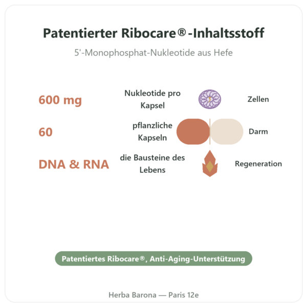 Nukleotide Ribocare® 600 mg – Dynveo – 60 Kapseln Vorteile und Fakten Paris Herba Barona