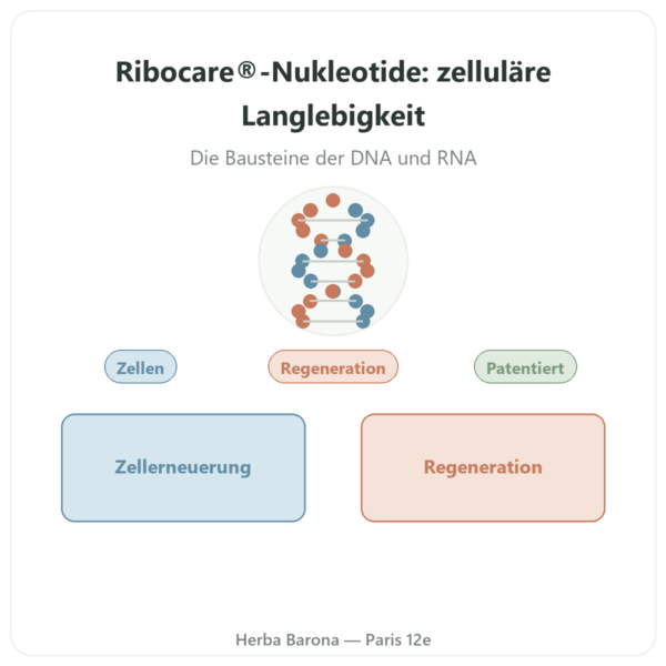 Nukleotide Ribocare® 600 mg – Dynveo – 60 Kapseln Vorstellung Paris Herba Barona